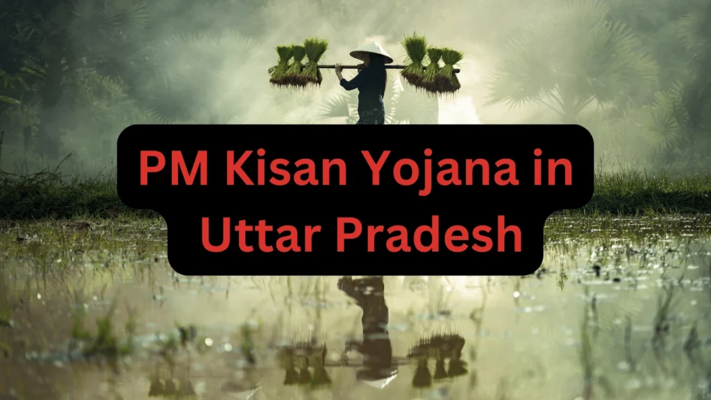 PM Kisan Yojana Uttar Pradesh